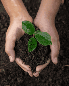 Soft, Sustainable, Sophisticated: Inside Orchids Lux Home’s Lyocell Bedding - Orchids Lux Home 5-1.png