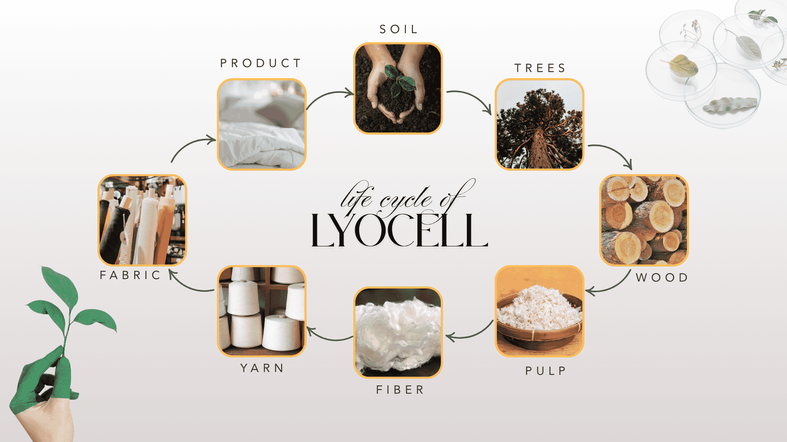 Lyocell Bedding