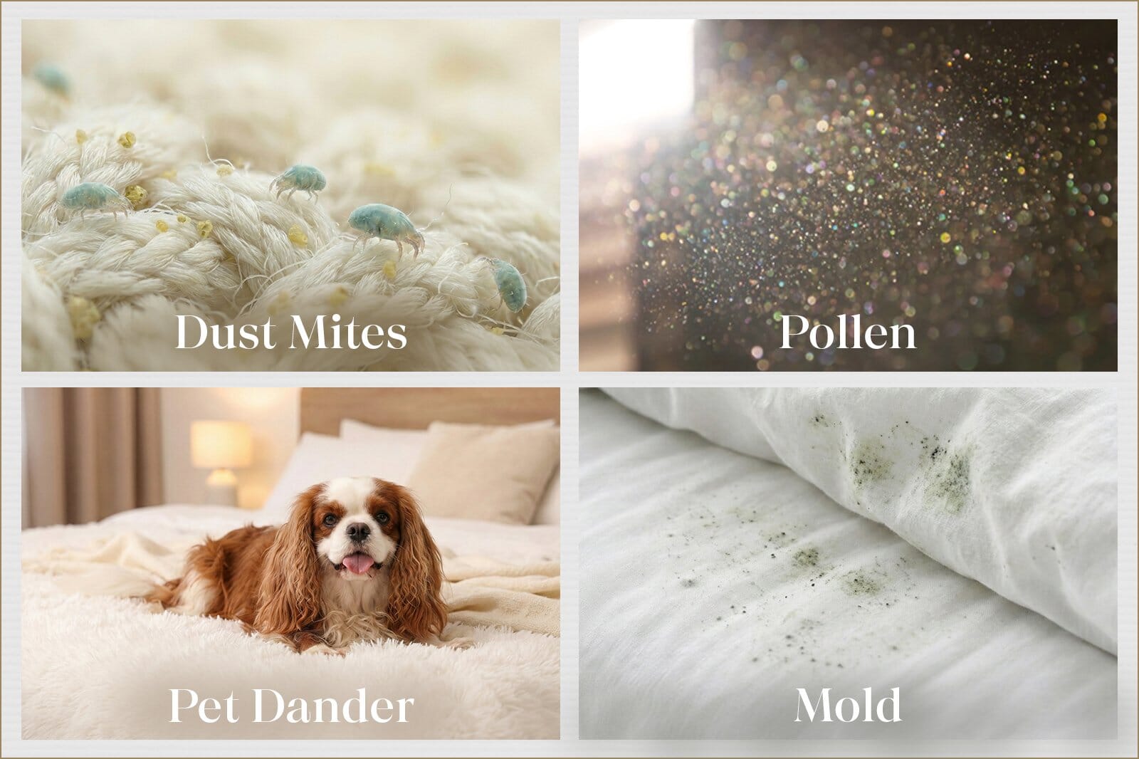 Four-Panel Image Highlighting Allergens That Hypoallergenic Bedding Helps Reduce, Including Dust Mites On Fabric, Airborne Pollen, Pet Dander From A Dog On A Bed, And Mold Growth On Bedding.
