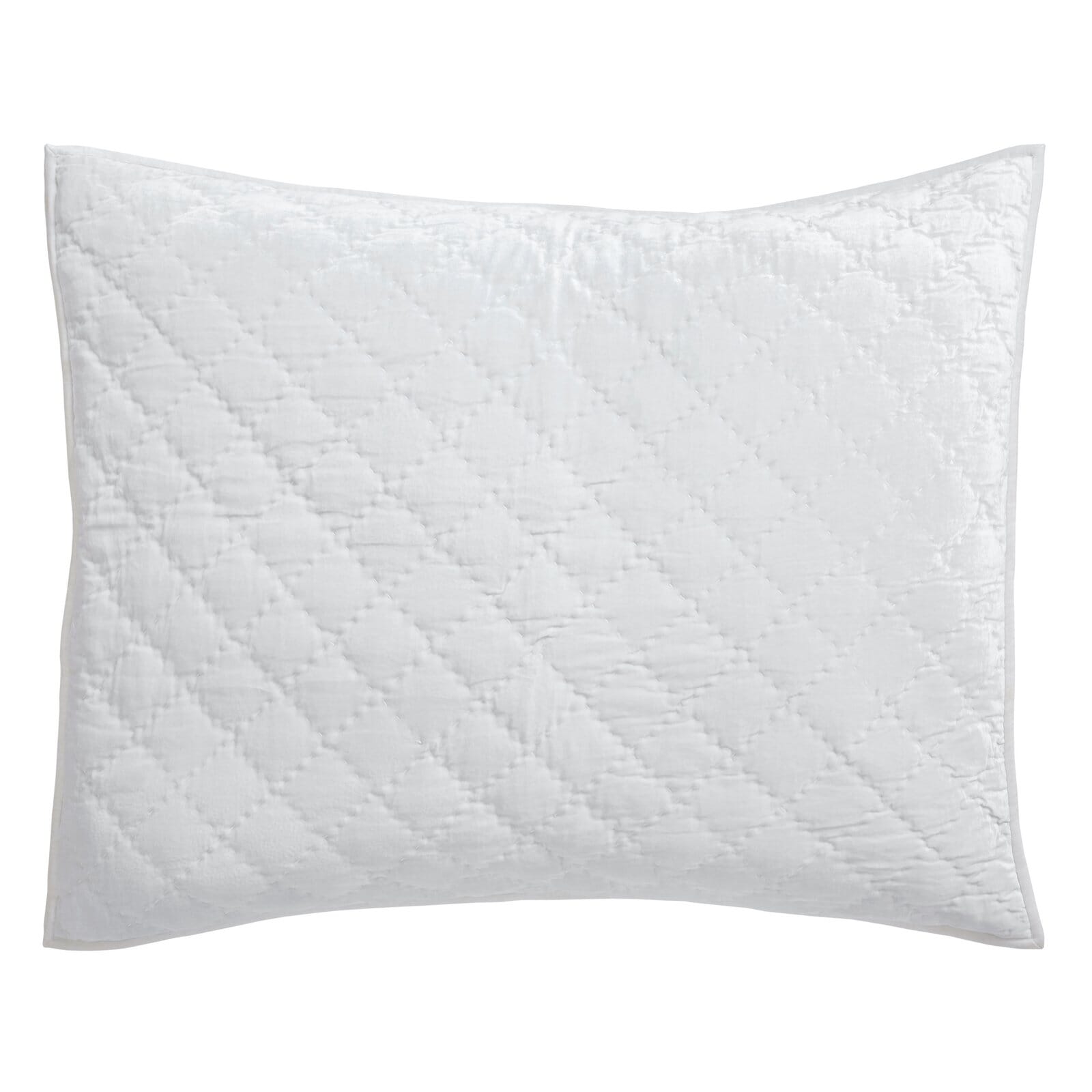 DE-343-3137-LOT1_1