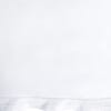 White/White